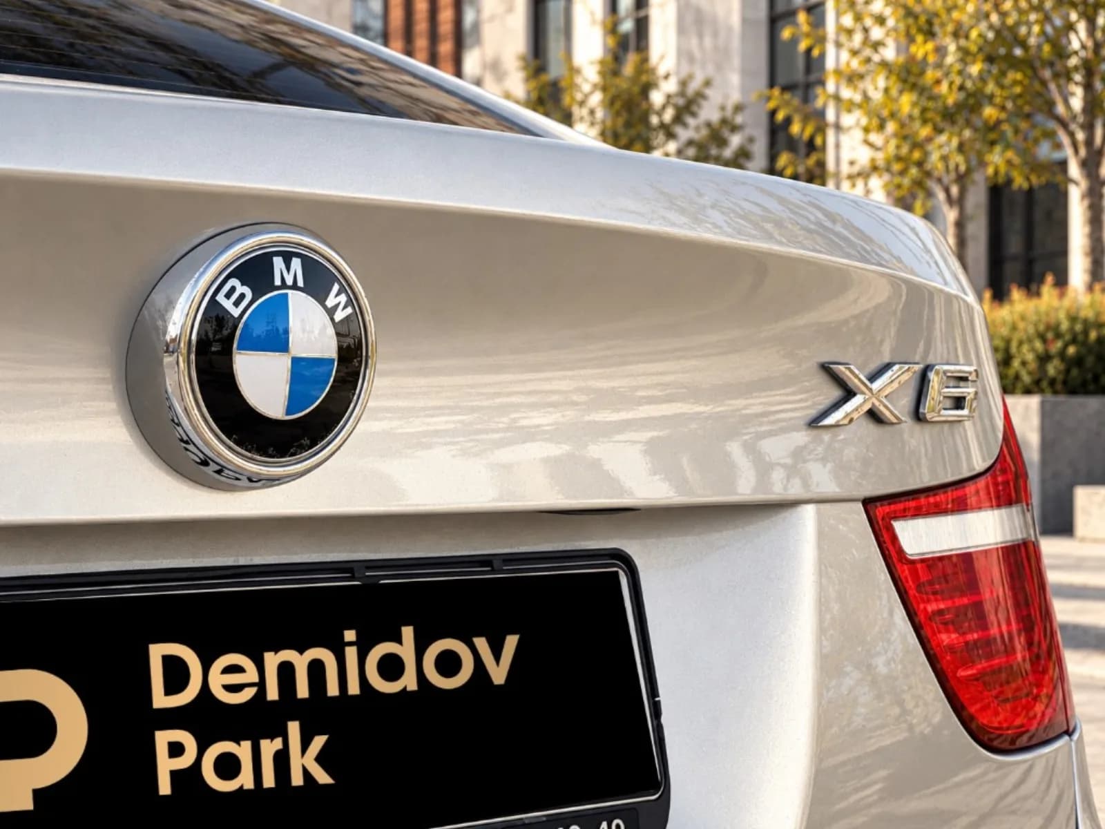 BMW X6 xDrive 30d — фото 13