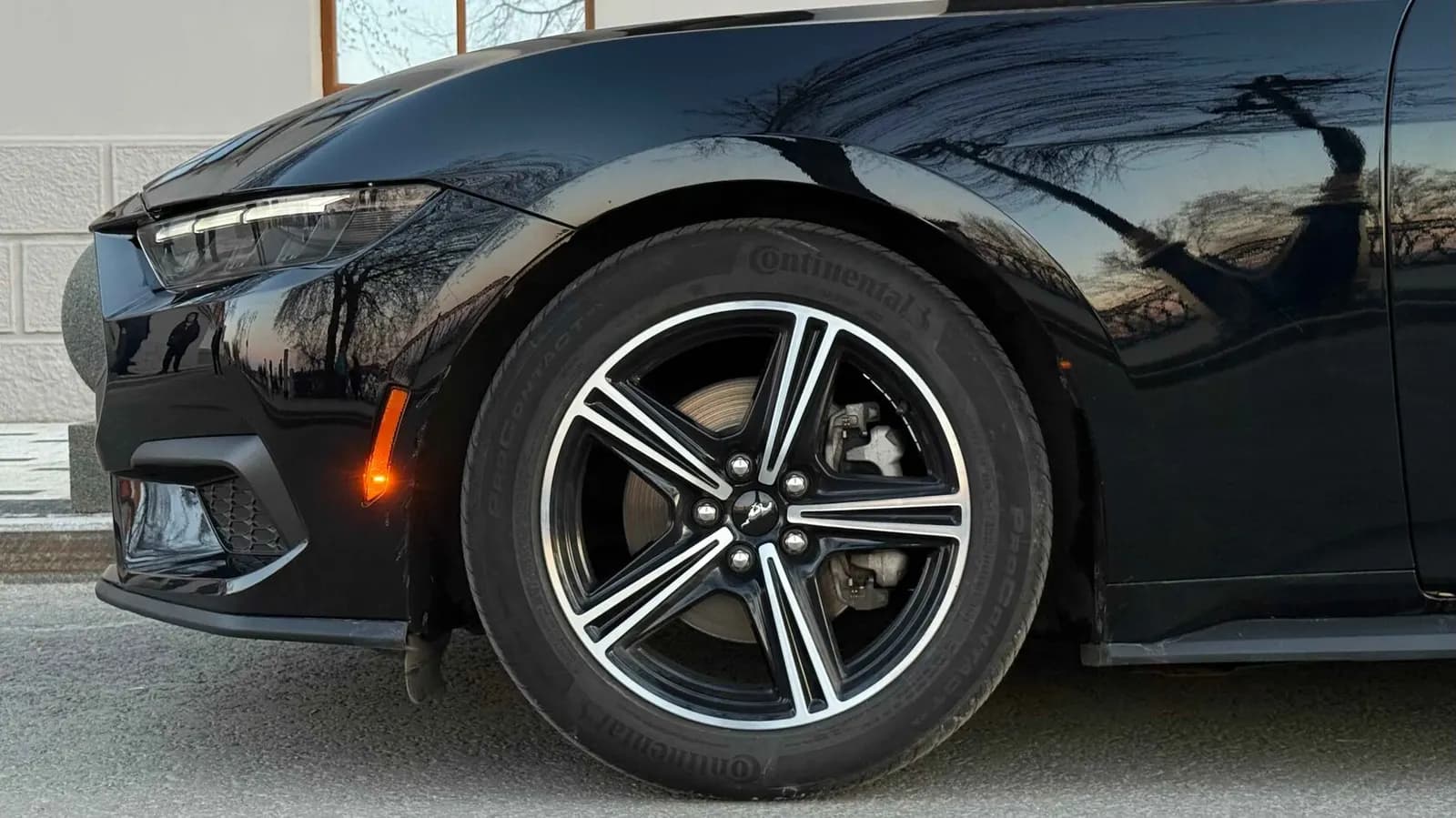 Ford Mustang Cabrio — фото 10