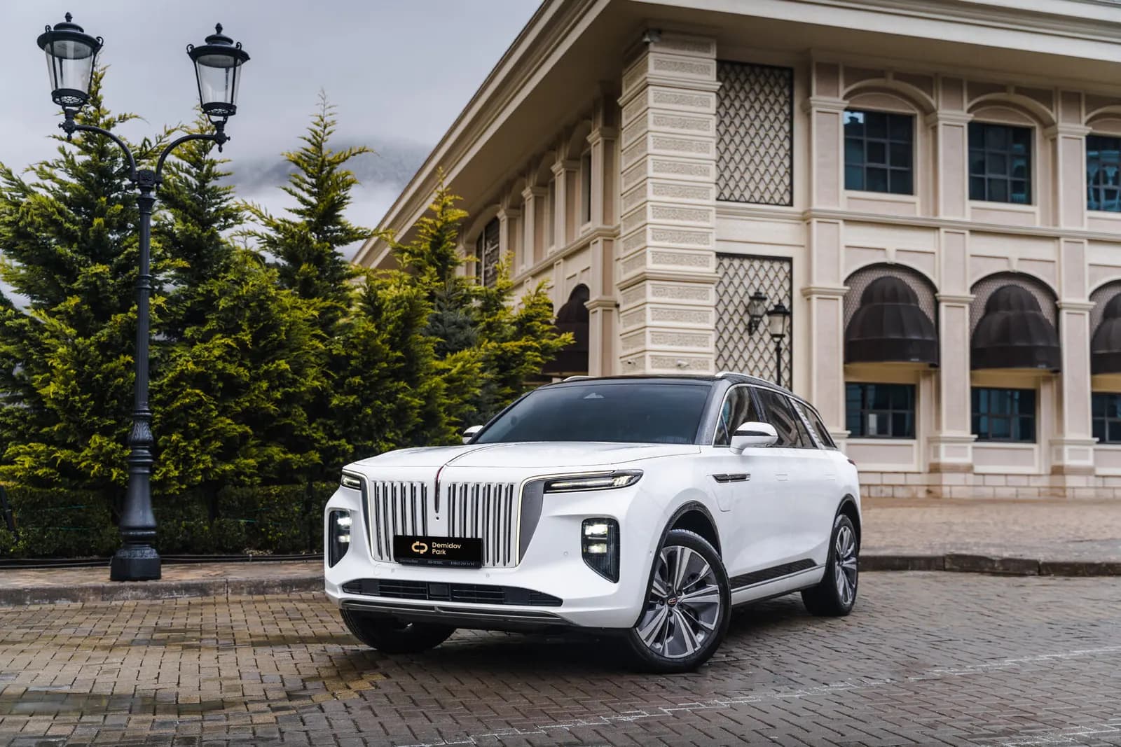 Hongqi E-HS9 — аренда в Нижний Новгород